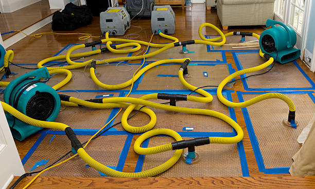 Professional Basement Flood Cleanup technician working in Baltic, OH